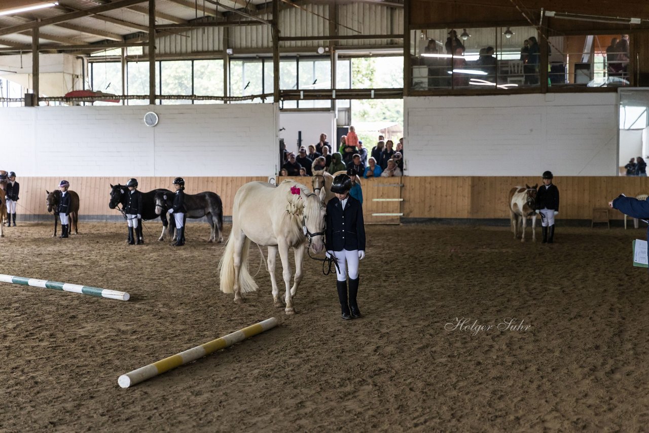 Bild 93 - Pony Akademie Turnier